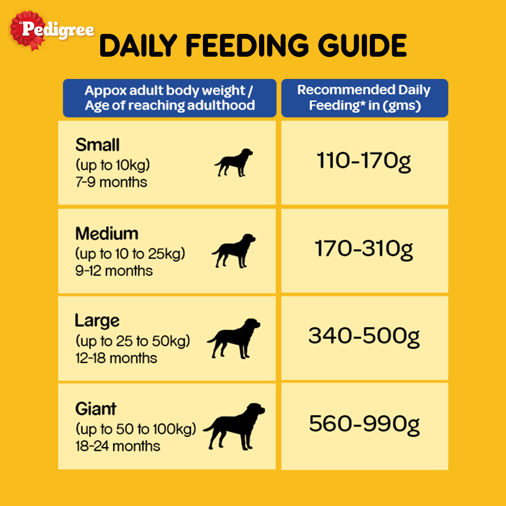 Pedigree Adult Dry Dog Food Food, Chicken & Vegetables, 1.1 kg Pack (1kg + Free 100g)
