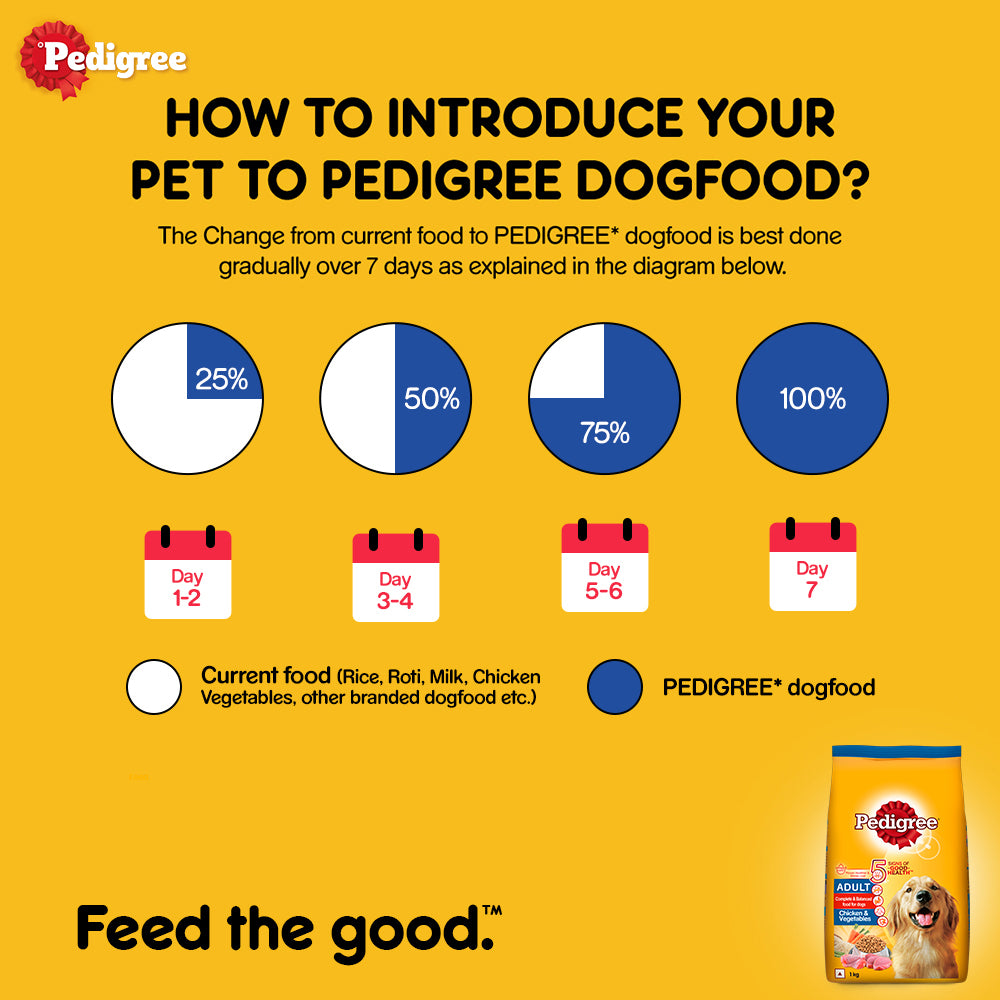 Pedigree Adult Dry Dog Food Food, Chicken & Vegetables, 1.1 kg Pack (1kg + Free 100g)