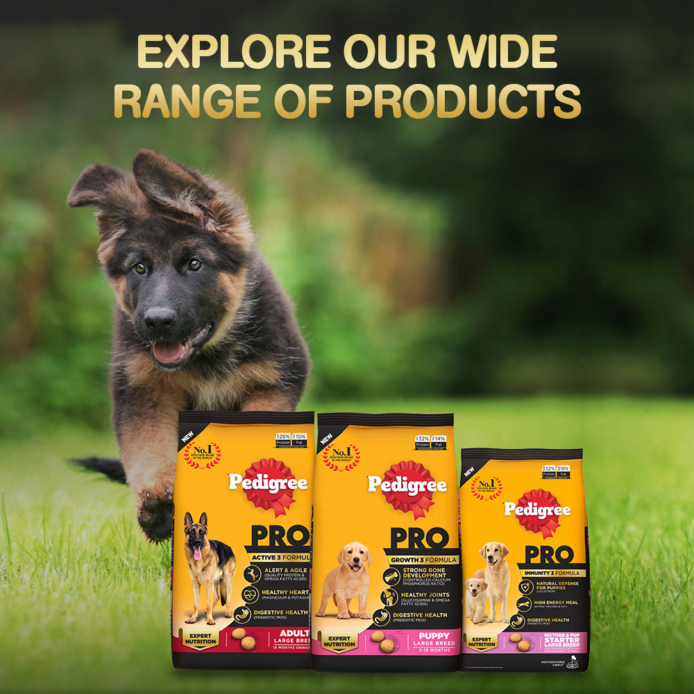 Pedigree PRO Mother & Pup Starter Large Breed Dry Dog Food - Expert Nutrition Immunity 3 Formula for Pregnant/Lactating Mothers & Pups (3-12 Weeks)
