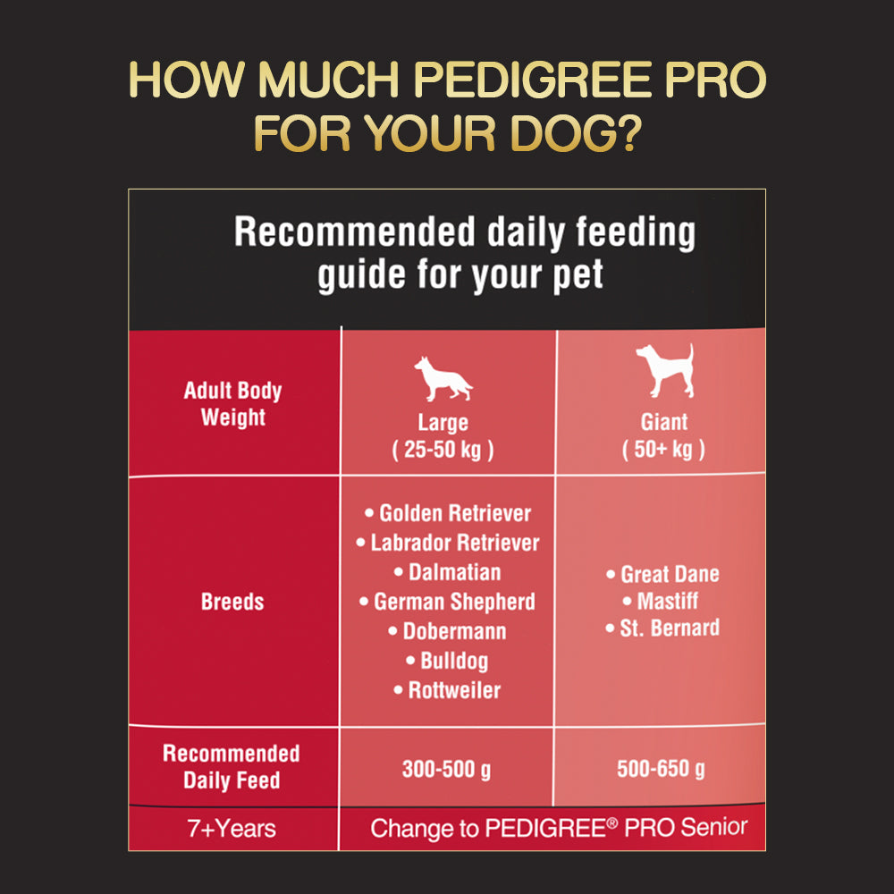 Pedigree PRO Expert Nutrition Adult Active 3 Formula Large Breed Dogs (18 Months Onwards) Dry Dog Food Food